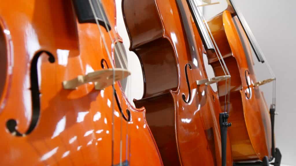 musik instrumente und instrumente reparatur deusser würzburg (20)