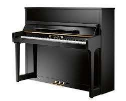 schimmel wilhelm 114t
