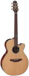 takamine tfs 40
