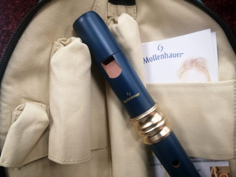 Blaue Blockflöte im beigen Etui
