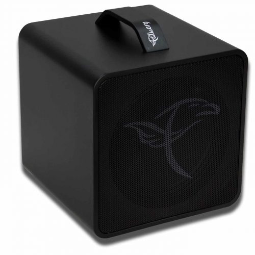 Schwarzer Lautsprecher mit Tragegriff und Logo.