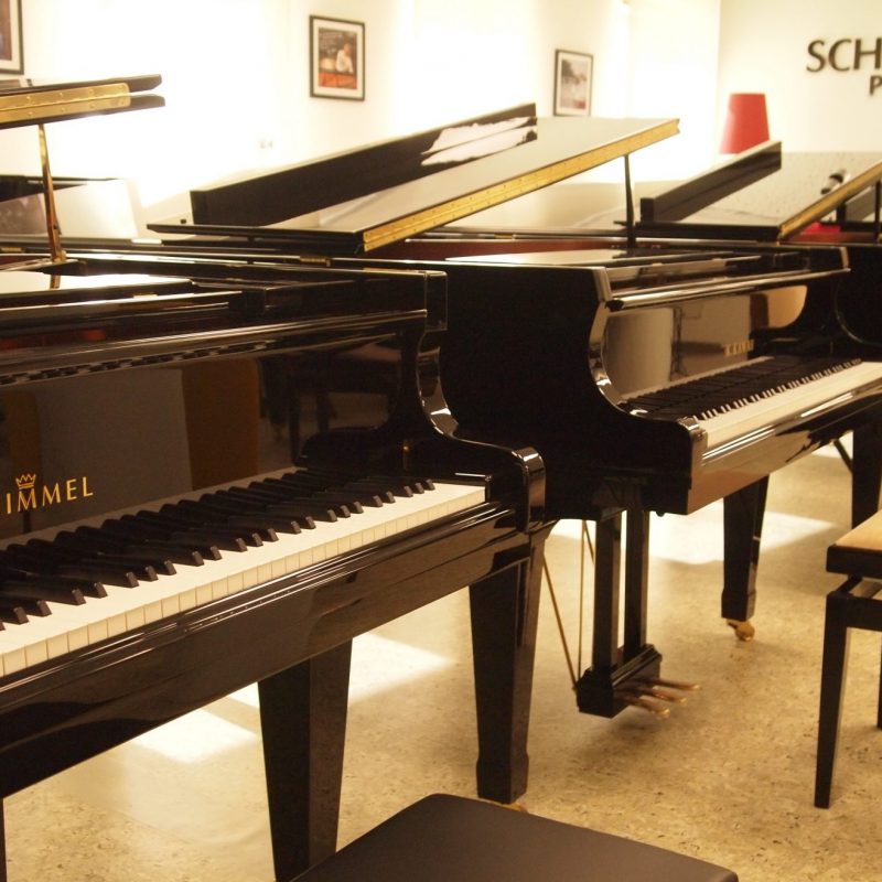 Reihe von Flügeln im Ausstellungsraum