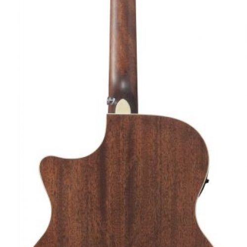 ibanez ae100 buf back 800x800