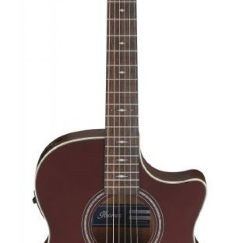 ibanez ae100 buf front 800x800