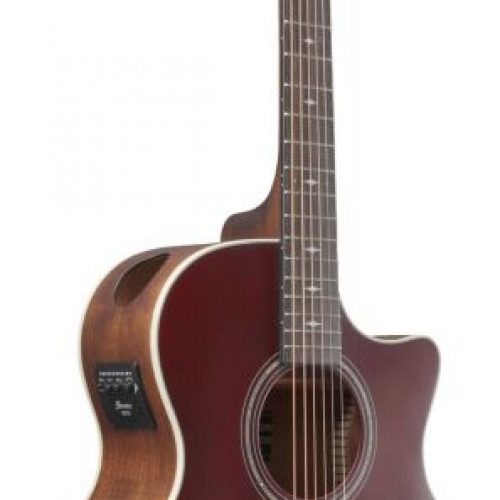 ibanez ae100 buf side 800x800