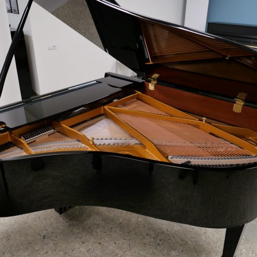 Flügel im Musikraum mit offenem Deckel