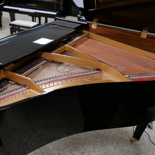 Geöffneter Flügel zeigt Saitenmechanik und Resonanzboden.