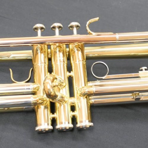 quintus tr103l b trompete (4)