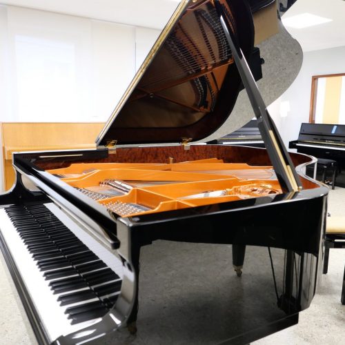 schimmel k169 flügel gebraucht (8)