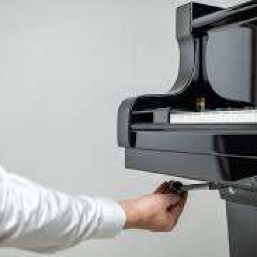schimmel twintone stelle