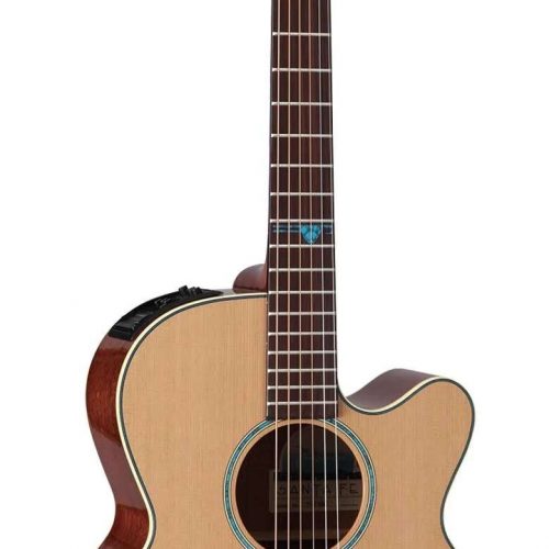takamine tfs 40