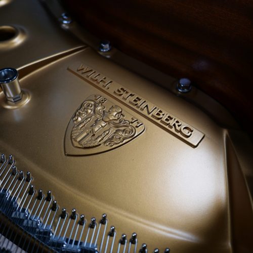 Detail eines Flügels mit Logo und Schriftzug.