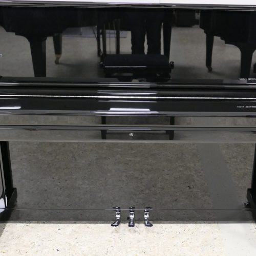 wilh steinberg p118 schw pol chrom (2)